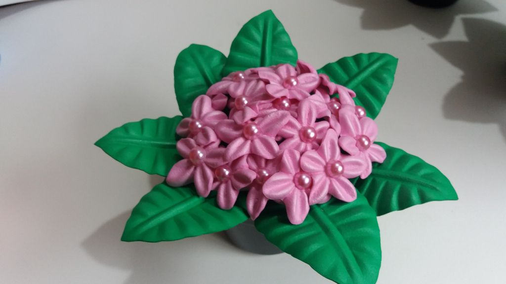 Aula 2 - Flor EVA